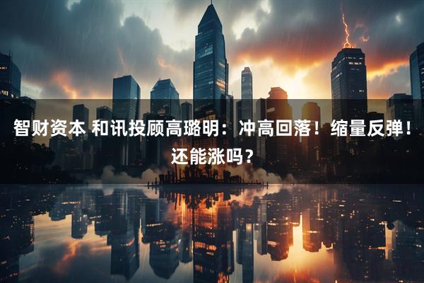 智财资本 和讯投顾高璐明：冲高回落！缩量反弹！还能涨吗？