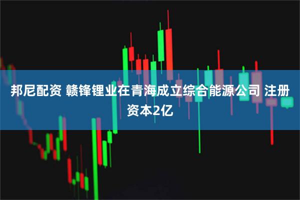 邦尼配资 赣锋锂业在青海成立综合能源公司 注册资本2亿